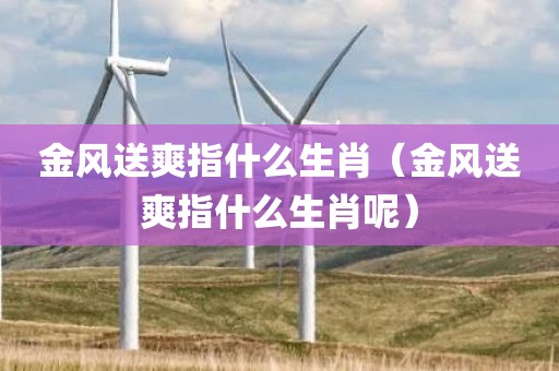 金风送爽指什么生肖(金风送爽指什么生肖呢)