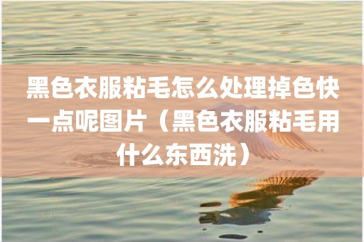 黑色衣服粘毛怎么处理掉色快一点呢图片（黑色衣服粘毛用什么东西洗）