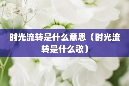 时光流转是什么意思（时光流转是什么歌）