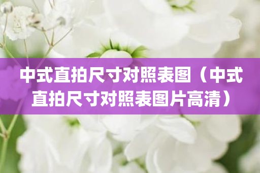 中式直拍尺寸对照表图（中式直拍尺寸对照表图片高清）