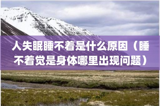 人失眠睡不着是什么原因（睡不着觉是身体哪里出现问题）