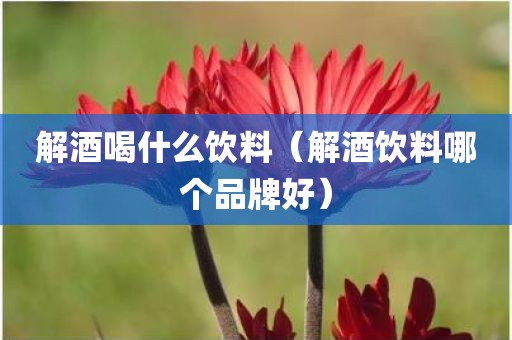 解酒喝什么饮料（解酒饮料哪个品牌好）
