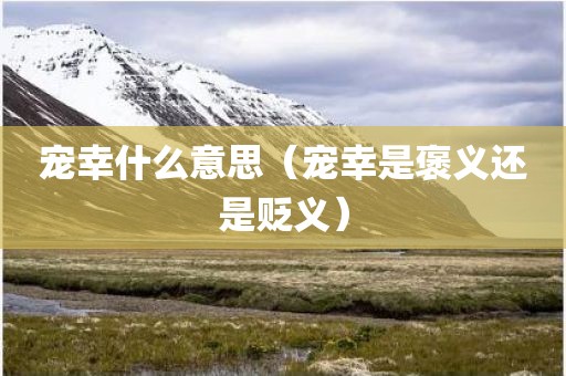 宠幸什么意思（宠幸是褒义还是贬义）