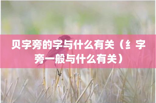 贝字旁的字与什么有关（纟字旁一般与什么有关）