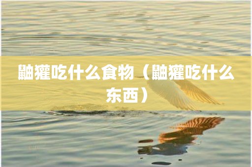 鼬獾吃什么食物（鼬獾吃什么东西）