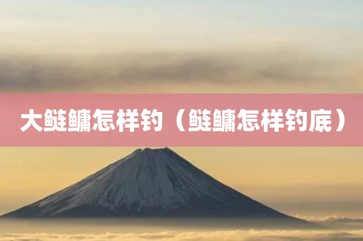 大鲢鳙怎样钓（鲢鳙怎样钓底）