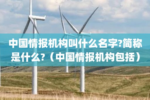 中国情报机构叫什么名字?简称是什么?（中国情报机构包括）