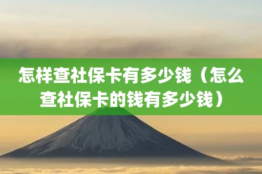怎样查社保卡有多少钱（怎么查社保卡的钱有多少钱）