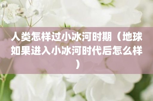 人类怎样过小冰河时期（地球如果进入小冰河时代后怎么样）