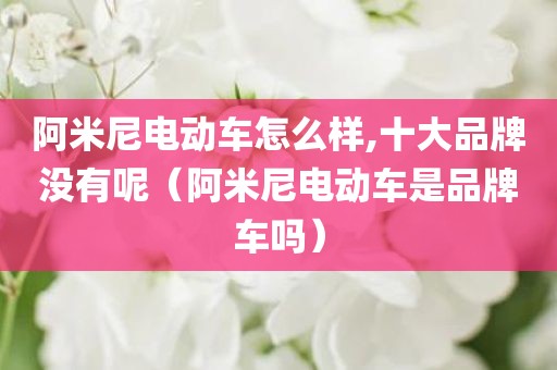 阿米尼电动车怎么样,十大品牌没有呢（阿米尼电动车是品牌车吗）