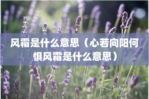 风霜是什么意思（心若向阳何惧风霜是什么意思）