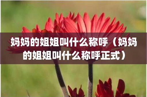 妈妈的姐姐叫什么称呼（妈妈的姐姐叫什么称呼正式）