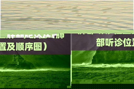 肺部听诊位置图解6个部位（肺部听诊位置及顺序图）