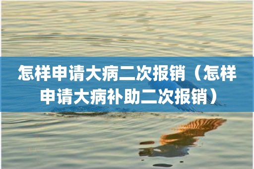 怎样申请大病二次报销（怎样申请大病补助二次报销）