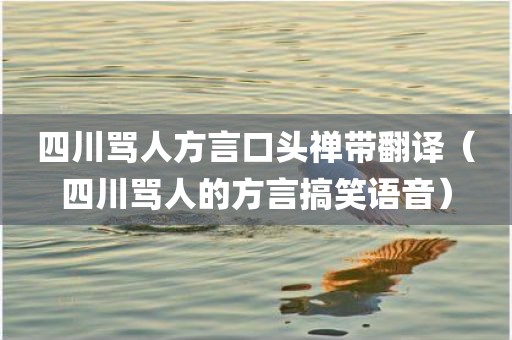四川骂人方言口头禅带翻译（四川骂人的方言搞笑语音）
