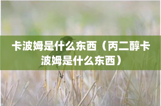 卡波姆是什么东西（丙二醇卡波姆是什么东西）