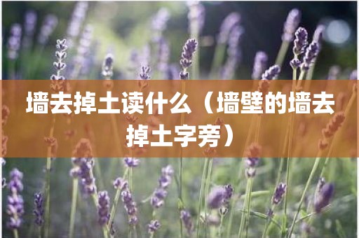 墙去掉土读什么（墙壁的墙去掉土字旁）