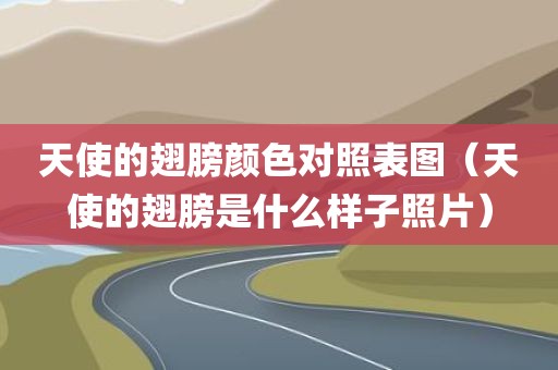 天使的翅膀颜色对照表图(天使的翅膀是什么样子照片) 天使的翅膀颜色对照表图(天使的翅膀是什么样子照片)