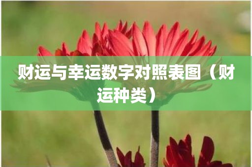 财运与幸运数字对照表图（财运种类）