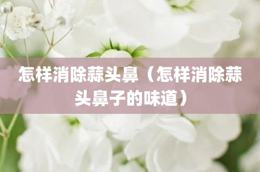 怎样消除蒜头鼻（怎样消除蒜头鼻子的味道）