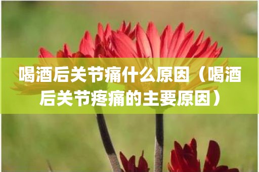 喝酒后关节痛什么原因（喝酒后关节疼痛的主要原因）