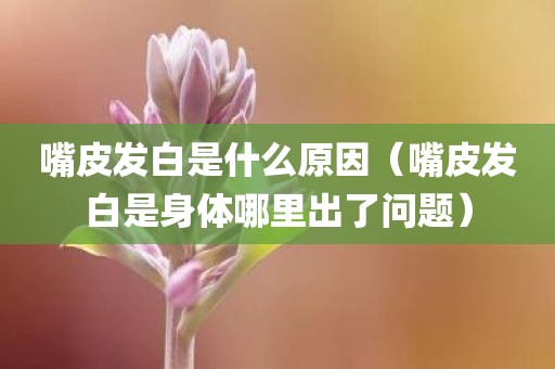 嘴皮发白是什么原因（嘴皮发白是身体哪里出了问题）