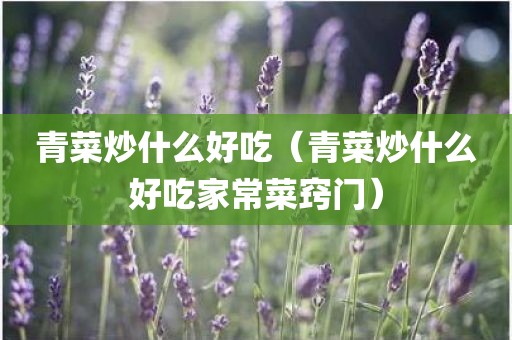青菜炒什么好吃(青菜炒什么好吃家常菜窍门)