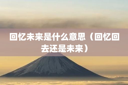 回忆未来是什么意思(回忆回去还是未来)