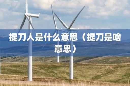 捉刀人是什么意思（捉刀是啥意思）