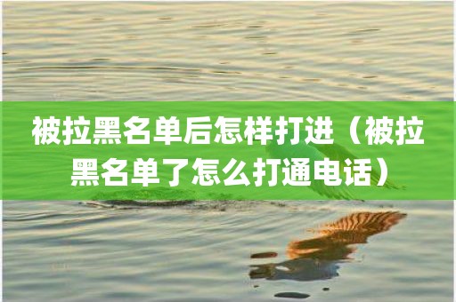 被拉黑名单后怎样打进（被拉黑名单了怎么打通电话）