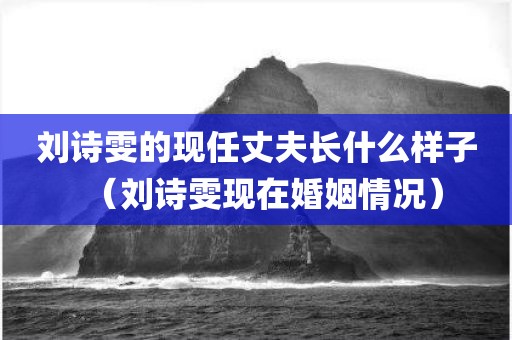 刘诗雯的现任丈夫长什么样子（刘诗雯现在婚姻情况）