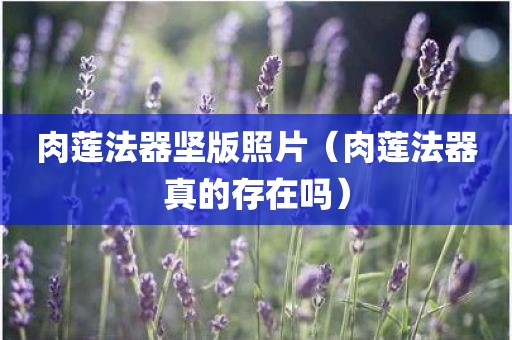 肉莲法器坚版照片(肉莲法器真的存在吗)