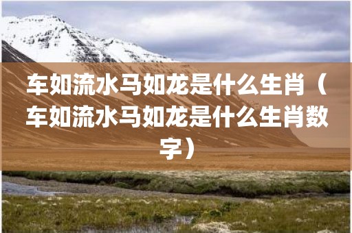 车如流水马如龙是什么生肖（车如流水马如龙是什么生肖数字）