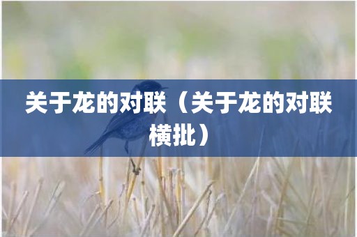 关于龙的对联(关于龙的对联横批)