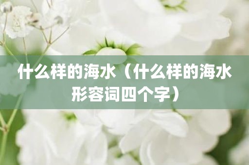 什么样的海水(什么样的海水形容词四个字)