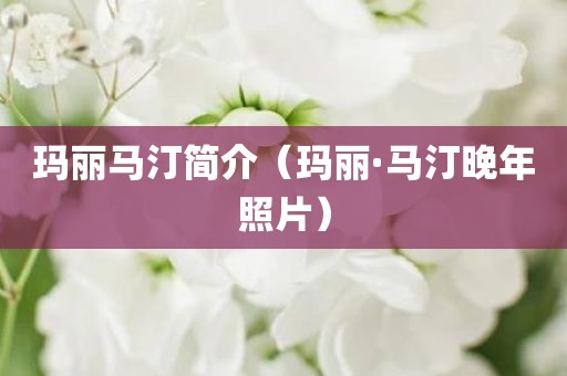 玛丽马汀简介（玛丽·马汀晚年照片）