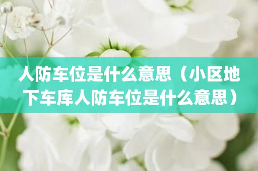 人防车位是什么意思（小区地下车库人防车位是什么意思）