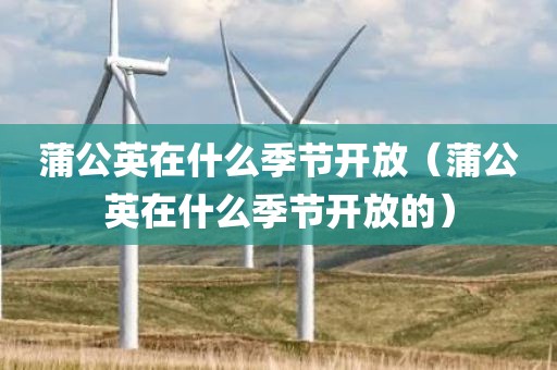 蒲公英在什么季节开放（蒲公英在什么季节开放的）