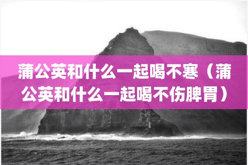 蒲公英和什么一起喝不寒（蒲公英和什么一起喝不伤脾胃）