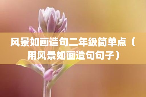 风景如画造句二年级简单点（用风景如画造句句子）