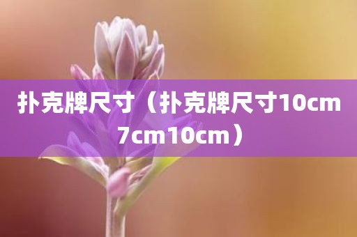 扑克牌尺寸（扑克牌尺寸10cm7cm10cm）
