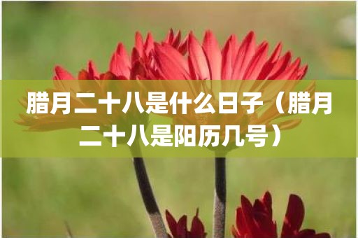 腊月二十八是什么日子（腊月二十八是阳历几号）