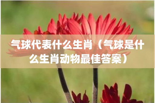 气球代表什么生肖（气球是什么生肖动物最佳答案）