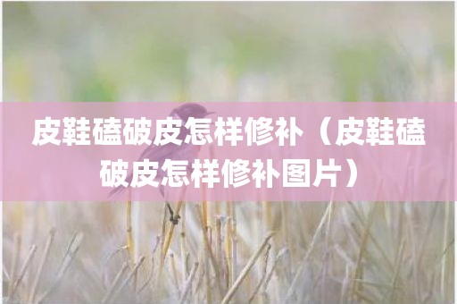 皮鞋磕破皮怎样修补（皮鞋磕破皮怎样修补图片）