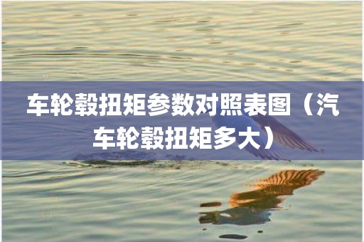 车轮毂扭矩参数对照表图(汽车轮毂扭矩多大) 车轮毂扭矩参数对照表图(汽车轮毂扭矩多大)