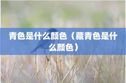 青色是什么颜色（藏青色是什么颜色）