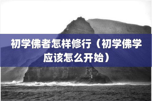 初学佛者怎样修行（初学佛学应该怎么开始）