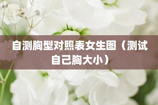 自测胸型对照表女生图（测试自己胸大小）