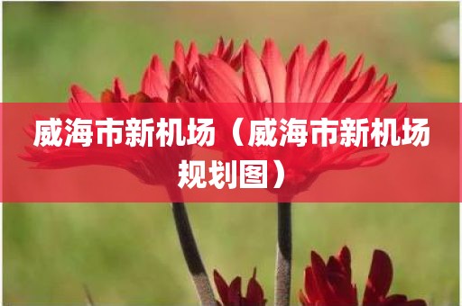 威海市新机场（威海市新机场规划图）