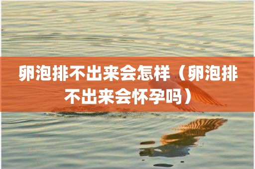 卵泡排不出来会怎样（卵泡排不出来会怀孕吗）